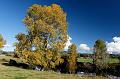 2007 04 24 Coromandel Peninsula 001-1_DXO